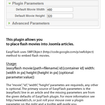 Plg_easyflash___edit__plugin_parameters